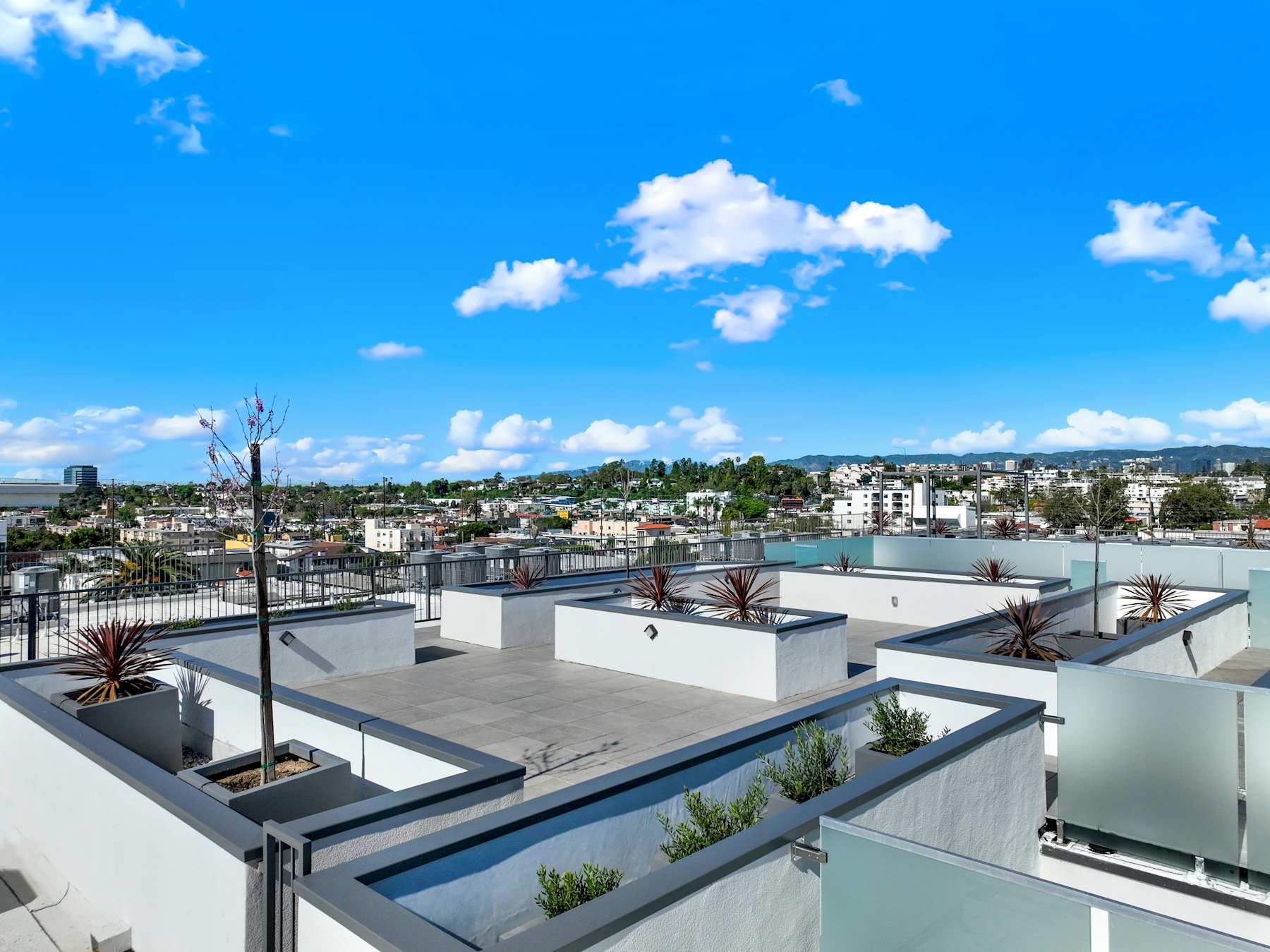 Aerial view of the planted Motor Tides rooftop deck